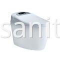 Automatic Flushing Intelligent Toilet And Smart Toilet